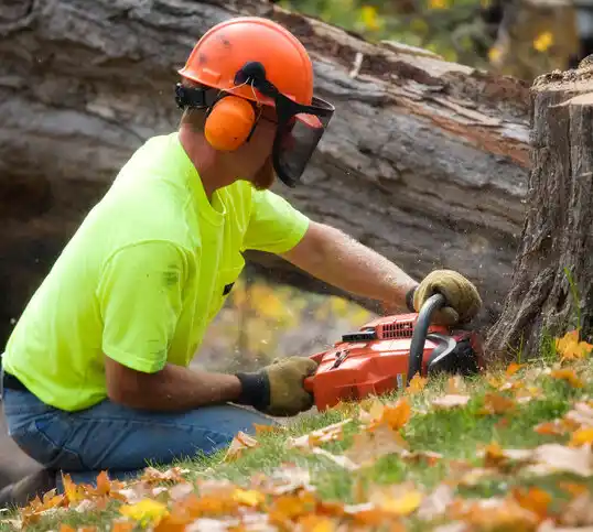 tree services Las Cruces